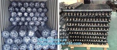 mesh bag,insect net,anti hail net,weed mat,Polyester fiberglass anti insect net for insect screen window,anti insect mes supplier