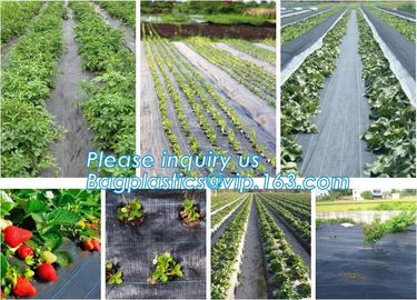 mesh bag,insect net,anti hail net,weed mat,Polyester fiberglass anti insect net for insect screen window,anti insect mes supplier