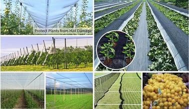 agriculture in 40g with customizable sizes,100% virgin hdpe anti hail net, Hail Protection Net for Agriculture, Made in supplier