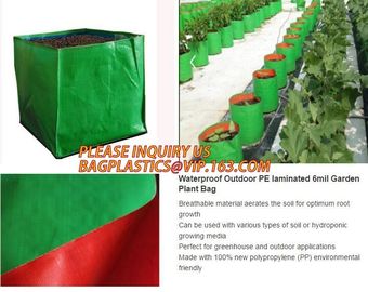 Garden Grow Bags Aeration Fabric Pots Potato Planter Bag with Handles and Access Flap,Potato Tomato Strawberry Vegetable supplier