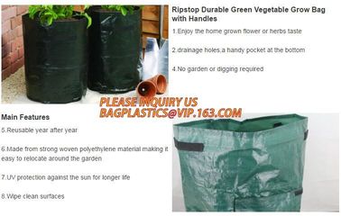 Garden grow bag potato grow bag murphy bag PE fabric,40 / 50 / 100 / 200/300gallon durable heavy duty potato grow bag supplier