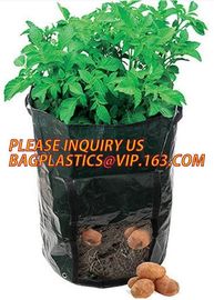 Garden grow bag potato grow bag murphy bag PE fabric,40 / 50 / 100 / 200/300gallon durable heavy duty potato grow bag supplier