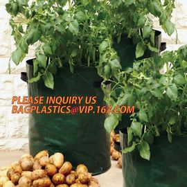 Garden grow bag potato grow bag murphy bag PE fabric,40 / 50 / 100 / 200/300gallon durable heavy duty potato grow bag supplier