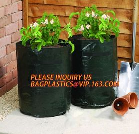 Garden grow bag potato grow bag murphy bag PE fabric,40 / 50 / 100 / 200/300gallon durable heavy duty potato grow bag supplier