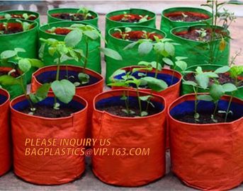 UV resistant PE potato growing bag garden planter bags with Flap and handles,Flap and Handles Collapsible 10 gallons supplier