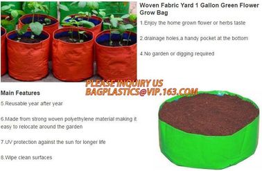 UV resistant PE potato growing bag garden planter bags with Flap and handles,Flap and Handles Collapsible 10 gallons supplier