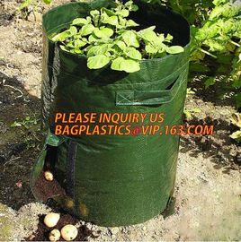 UV resistant PE potato growing bag garden planter bags with Flap and handles,Flap and Handles Collapsible 10 gallons supplier