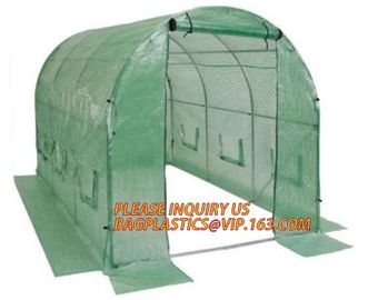 Economic Small Windscreen Green Garden House,vegetable greenhouse hoop green house,small Garden Greenhouse for Indoor pl supplier