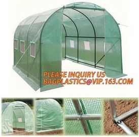 Economic Small Windscreen Green Garden House,vegetable greenhouse hoop green house,small Garden Greenhouse for Indoor pl supplier