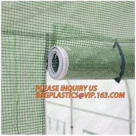 Economic Small Windscreen Green Garden House,vegetable greenhouse hoop green house,small Garden Greenhouse for Indoor pl supplier