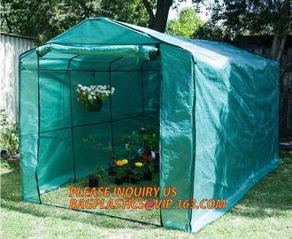 polycarbonate plastic sheet agricultural mini garden green house,plastic walk in dome garden green house, SUPPLIES, PAC supplier