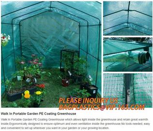 polycarbonate plastic sheet agricultural mini garden green house,plastic walk in dome garden green house, SUPPLIES, PAC supplier