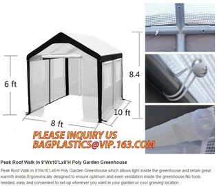 Easy install greenhouse tomato single-span Plastic Film Green House,Low cost garden green houses for plating, PACKAGES supplier