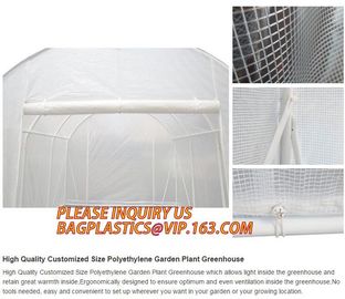 Easy install greenhouse tomato single-span Plastic Film Green House,Low cost garden green houses for plating, PACKAGES supplier