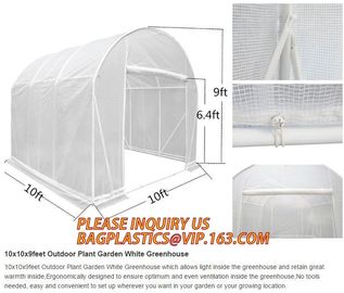 Easy install greenhouse tomato single-span Plastic Film Green House,Low cost garden green houses for plating, PACKAGES supplier