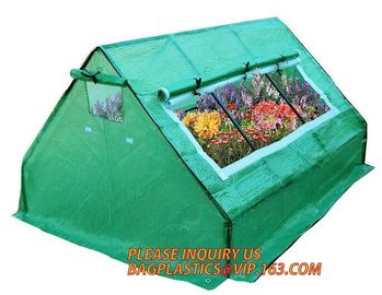 Polycarbonate strong garden greenhouse double-door green house,NEW WALK IN GREENHOUSE GARDENING SEEDS PROPOGATING 143cm* supplier