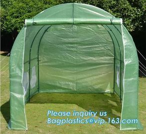 Excellent Material Agriculture Greenhouse/Low Cost Green House,High quality outdoor garden mini portable green house supplier