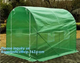 Excellent Material Agriculture Greenhouse/Low Cost Green House,High quality outdoor garden mini portable green house supplier