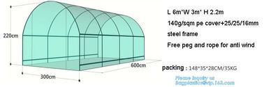 Strawberry Planting Green House,200 micron UV plastic film for agriculture green house,High safety greenhouse for plants supplier