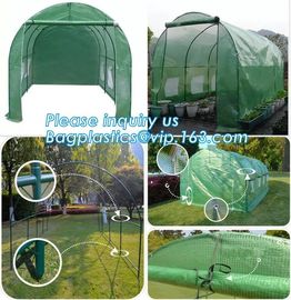 Strawberry Planting Green House,200 micron UV plastic film for agriculture green house,High safety greenhouse for plants supplier