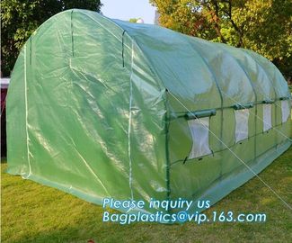 Strawberry Planting Green House,200 micron UV plastic film for agriculture green house,High safety greenhouse for plants supplier