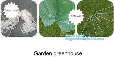 Strawberry Planting Green House,200 micron UV plastic film for agriculture green house,High safety greenhouse for plants supplier