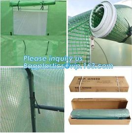 Strawberry Planting Green House,200 micron UV plastic film for agriculture green house,High safety greenhouse for plants supplier