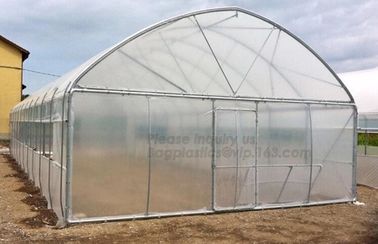 Garden Walk In 4 Shelves&amp; Reinforced PE Cover green houses,Agriculture Farm Commercial Plastic PE Film Multi Spans Green supplier