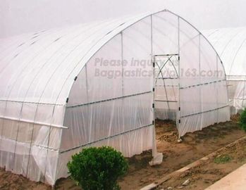 Garden Walk In 4 Shelves&amp; Reinforced PE Cover green houses,Agriculture Farm Commercial Plastic PE Film Multi Spans Green supplier