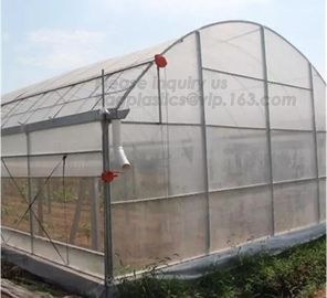 Garden Walk In 4 Shelves&amp; Reinforced PE Cover green houses,Agriculture Farm Commercial Plastic PE Film Multi Spans Green supplier