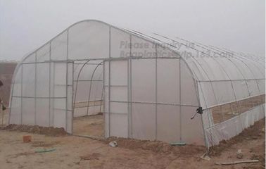 Garden Walk In 4 Shelves&amp; Reinforced PE Cover green houses,Agriculture Farm Commercial Plastic PE Film Multi Spans Green supplier