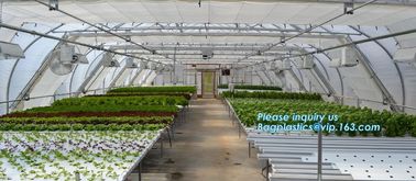 Garden tomato green house greenhouse film 3 layer eva agriculture clear plastic protective 90% transmission green house, supplier