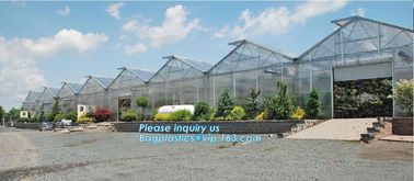 high quality tunnel single span galvanized arch green houses,Plant Large Walk in Greenhouse with Clear Cover for garden supplier