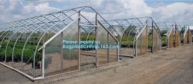 high quality tunnel single span galvanized arch green houses,Plant Large Walk in Greenhouse with Clear Cover for garden supplier