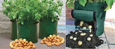 garden plant/ patato/vegetable grow bags,2gallon hotsales fabric pots grow bags for plant flower grow bag plant potato o supplier