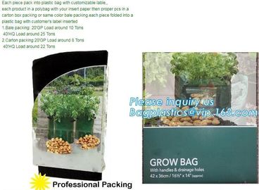 garden plant/ patato/vegetable grow bags,2gallon hotsales fabric pots grow bags for plant flower grow bag plant potato o supplier