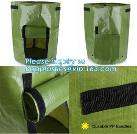 garden plant/ patato/vegetable grow bags,2gallon hotsales fabric pots grow bags for plant flower grow bag plant potato o supplier