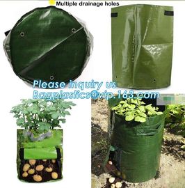 garden plant/ patato/vegetable grow bags,2gallon hotsales fabric pots grow bags for plant flower grow bag plant potato o supplier