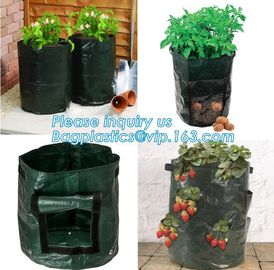 Polyethylene Durable Jumbo Tree Planter Bags, Heavy Duty Growing Bags,Effective UV Stabilized Black White Plastic Growin supplier