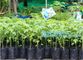Polyethylene Durable Jumbo Tree Planter Bags, Heavy Duty Growing Bags,Effective UV Stabilized Black White Plastic Growin supplier