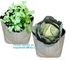15 GALLON Hole Plastic LDPE Grow Bags For Nursery, Black &amp; White PE Grow Bags for Hydroponic and Horticulture use, BAGEA supplier