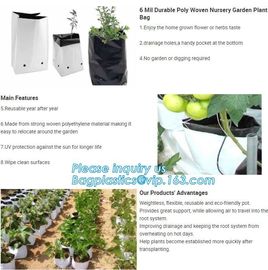 15 GALLON Hole Plastic LDPE Grow Bags For Nursery, Black &amp; White PE Grow Bags for Hydroponic and Horticulture use, BAGEA supplier