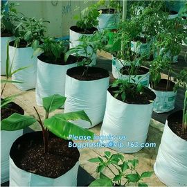 15 GALLON Hole Plastic LDPE Grow Bags For Nursery, Black &amp; White PE Grow Bags for Hydroponic and Horticulture use, BAGEA supplier