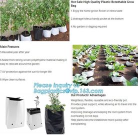 15 GALLON Hole Plastic LDPE Grow Bags For Nursery, Black &amp; White PE Grow Bags for Hydroponic and Horticulture use, BAGEA supplier