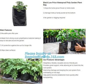 Drain Growing Bags-White Color Grow Bags-100%Virgin Raw PE Planter Bags -25Gallon 150Microns Thickness Planting Bag, PAC supplier