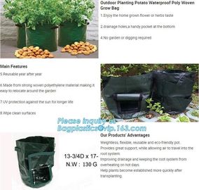 Drain Growing Bags-White Color Grow Bags-100%Virgin Raw PE Planter Bags -25Gallon 150Microns Thickness Planting Bag, PAC supplier