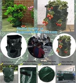 Garden Potato Planter Growing Bags PE Fabric Eco-friendly 7Gallon 10Gallon,potato planter with 7/10 gallon potato plante supplier