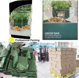 potato plant garden PE Woven growing bag Vegetable Plant Cultivation Grow Bags,Wholesale New durable non woven fabric gr supplier