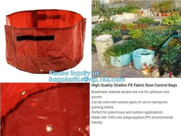 Black green square non woven potato plant garden grow bags with handle,5 Gallon Planting Grow Bags Made Of Growth Friend supplier