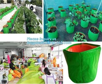 4 Pockets Permeable Non-woven fabric 26x65cmx1mm Vertical Wall Planting Bag for flower vegetable lettuce ferns, bagease supplier